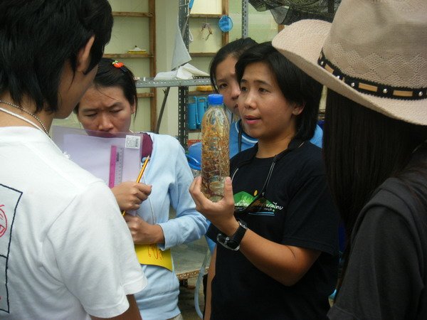 photo19.jpg