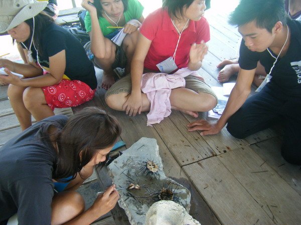 photo5.jpg